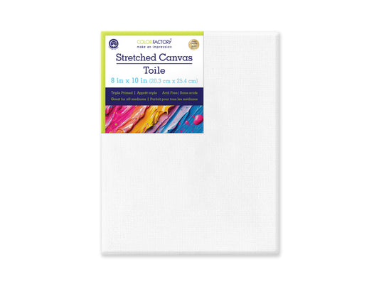 Stretch Artist Canvas: Rect. 8"x10" Primed Back-Stapled