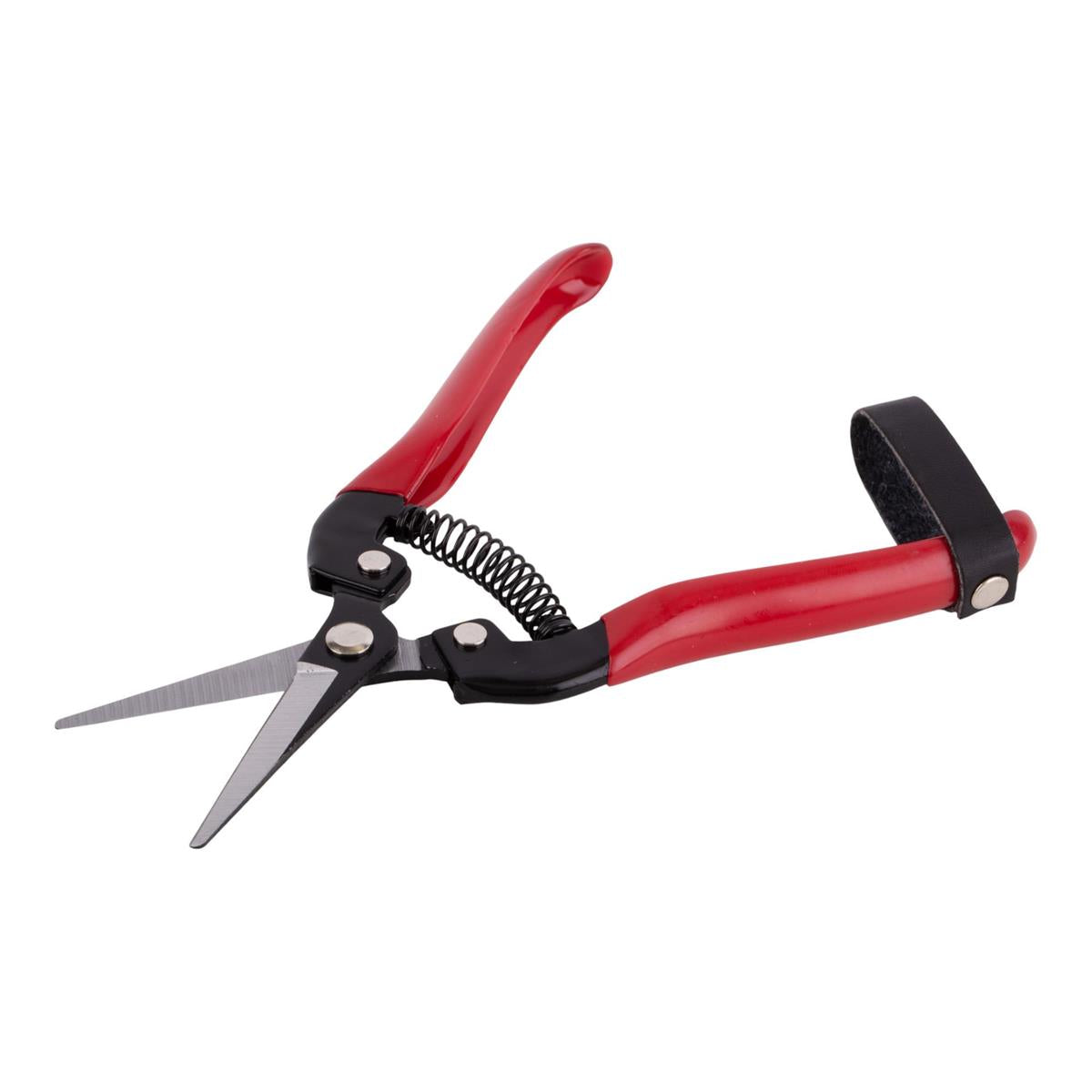 Garden E. 7" Carbon Steel  Garden Shears, B/C