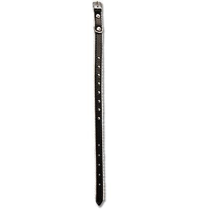 CAT COLLAR - 12" x 3/8" BLACK